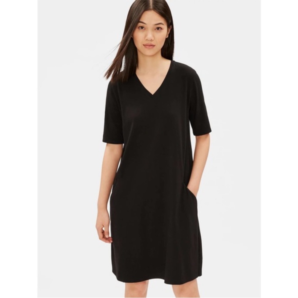 Eileen Fisher V-Neck Dress